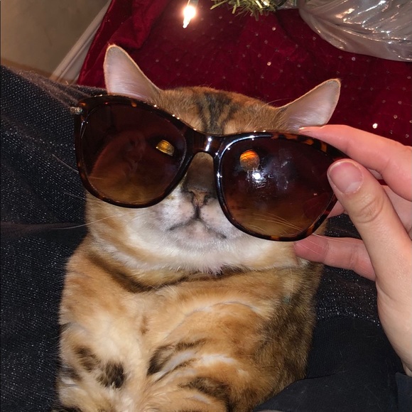 Aldo sunglasses